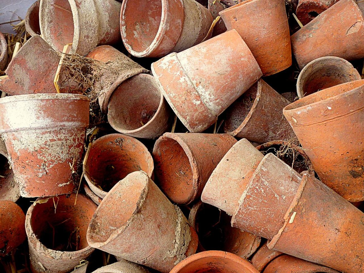Miniatura: Old terracotta pots - geograph.org.uk - 4950281